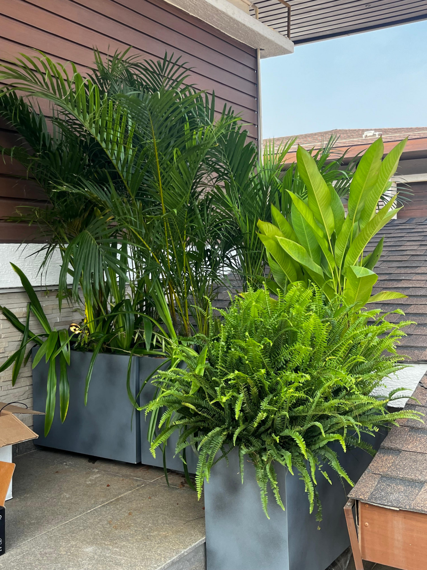 Planted Thresholds, Bengaluru, Karnataka